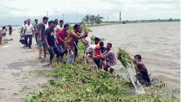 নওগাঁর হাসাইগাড়ী বিলের আস্তান মোল্লা সড়ক সংস্কার শুরু    