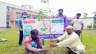 মুজিববর্ষে নড়াইলে ঊষার আলোর বৃক্ষরোপণ কর্মসূচি