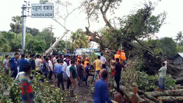 গাছ পড়ে মহাসড়কে ১৭ ঘণ্টা যানবাহন চলাচল বন্ধ, নারীর মৃত্যু