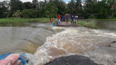 সিংড়ায় বন্যার পানিতে ৪ ইউনিয়ন প্লাবিত 