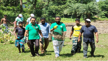 নাটোরে বিরল প্রজাতির বাগডাশ উদ্ধার 