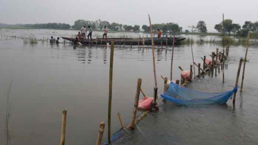 চলনবিলে সোঁতিজালের ৮টি অবৈধ বাঁধ উচ্ছেদ, আটক ১ 