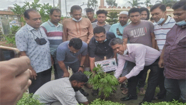 নোয়াখালীতে শেখ রাসেল এর জন্মদিন পালিত