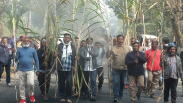 চিনিকলে আখ মাড়াই চালুর দাবিতে বিক্ষোভ-মহাসড়ক অবরোধ