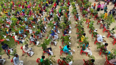 পাবনায় কর্মহীনদের গাছ ও খাদ্যসামগ্রী দিল যুবলীগ