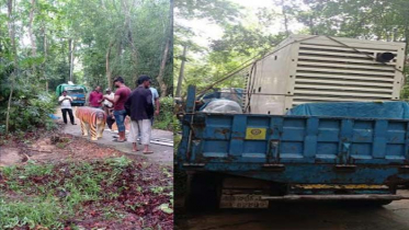 লাউয়াছড়ায় শুটিং করে জেলে গেলেন প্রাণ গ্রুপের কর্মকতা