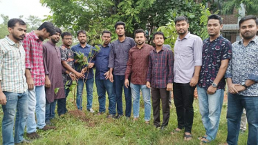 পরিবেশ দিবসে শাবিপ্রবি ছাত্রলীগের উদ্যোগে বৃক্ষরোপণ