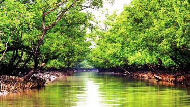 তিন মাস সুন্দরবনে প্রবেশে নিষেধাজ্ঞা