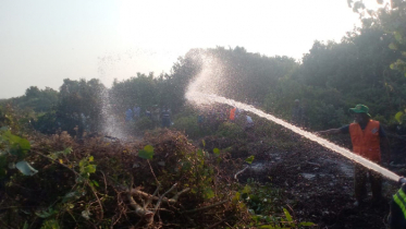 সুন্দরবনে অগ্নিকাণ্ড, কারণ জানতে তদন্ত কমিটি