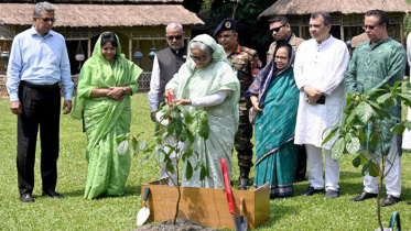 বেশি করে গাছ লাগানোর আহ্বান প্রধানমন্ত্রীর