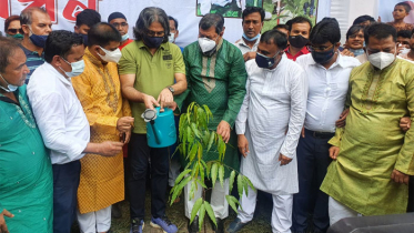 যুবলীগের নেতৃত্বে সারাদেশে ২ লাখ ৮০ হাজার ৫৮৯টি বৃক্ষরোপণ