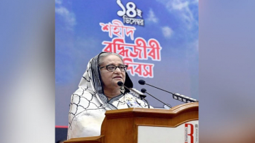 আওয়ামী লীগ মানবাধিকার লঙ্ঘন করে না, সুরক্ষা দেয়: প্রধানমন্ত্রী