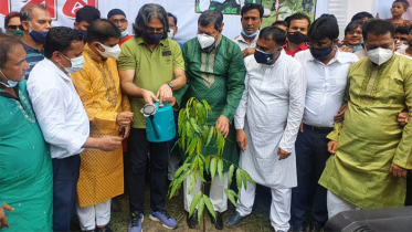 দেশব্যাপী যুবলীগের বৃক্ষরোপণ কর্মসূচির উদ্বোধন