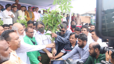 সারাদেশে যুবলীগের ১ লাখ ৭০ হাজার ৩২টি বৃক্ষরোপণ