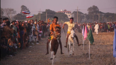 নওগাঁয় ঘোড়দৌড় প্রতিযোগিতা দেখতে মানুষের ঢল