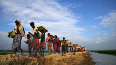 এক দিনেই পালিয়ে বাংলাদেশে এলো ৫০০ রোহিঙ্গা