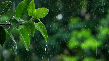 বৃষ্টিপাতের বাড়তে পারে