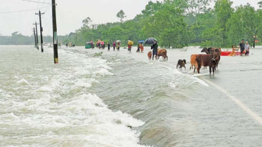 ভারী বৃষ্টির আভাস, ৮ জেলায় বন্যার শঙ্কা