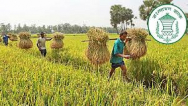 কৃষি ঋণ বিতরণ অর্ধেকে নেমেছে