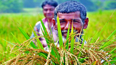 কৃষিতে অবদানের জন্য প্রথম এআইপি সম্মাননা পাচ্ছেন ১৩ জন