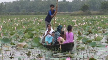 পদ্মবিলকে ঘিরে গড়ে উঠতে পারে আকর্ষণীয় পর্যটন স্পট 