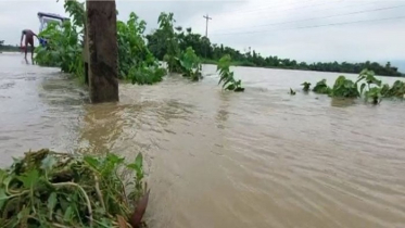 আবারও বাড়ছে সুনামগঞ্জের নদ-নদীর পানি, হাওরপাড়ে বন্যা আতঙ্ক