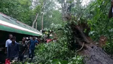 লাউয়াছড়ায় রেলের বগি লাইনচ্যুত