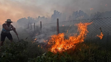 আলজেরিয়ায় ভয়াবহ দাবানলে ৩৪ মৃত্যু