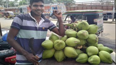 বেনাপোলে ডাবের দাম বেড়েছে তিনগুন