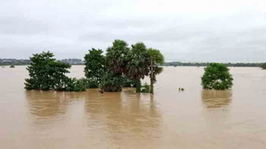 উন্নতি হচ্ছে বন্যা পরিস্থিতির