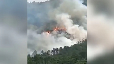 চীনে বিমান বিধ্বস্ত, দ্রুত তদন্তের আহ্বান প্রেসিডেন্টের