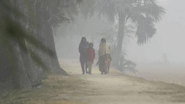 চুয়াডাঙ্গায় বৃষ্টির মতো পড়ছে কুয়াশা, হাড়কাঁপানো শীত