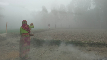 জেঁকে বসেছে শীত