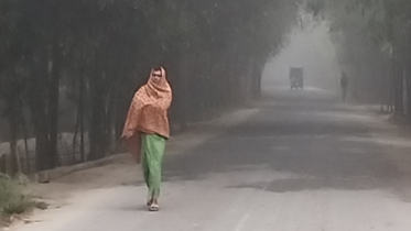 জেঁকে বসেছে শীত, সূর্যের দেখা মিলছে না