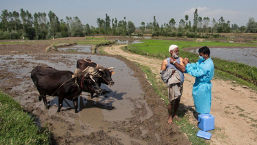 করোনায় মৃত্যু ছাড়ালো ৩৯ লাখ ৮০ হাজার