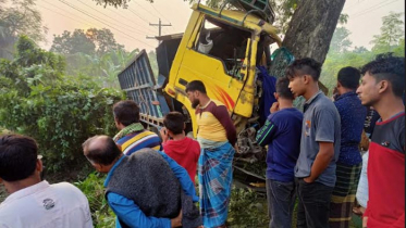 চুয়াডাঙ্গায় ট্রাক নিয়ন্ত্রণ হারিয়ে দুজন নিহত, ৭ গরুর মৃত্যু