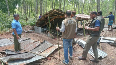 হাছান মাহমুদের ভাইয়ের দখলে থাকা ২০০ একর বনভূমি উদ্ধার