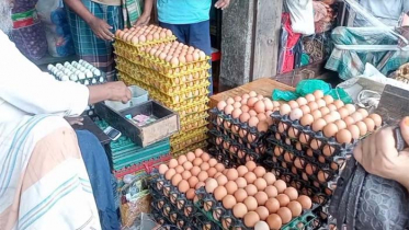 আমদানির পরেও যশোরের বাজারে ডিমের দাম চড়া