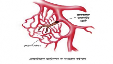 প্রতিদিন হাঁটুন ।। আপনার হৃৎপিন্ড ভালো থাকবে