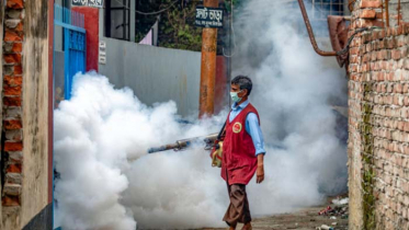 ডেঙ্গু নিয়ন্ত্রণে ডিএনসিসির বিশেষ অভিযান শুরু