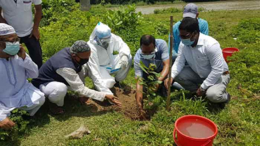 দোহারে আওয়ামী লীগের উদ্যোগে বৃক্ষরোপন কর্মসূচি