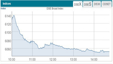 ডিএসই সূচক ১৩ মাসের মধ্যে সর্বনিম্ন