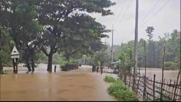 নতুন করে প্লাবিত রাঙ্গামাটির লংগদু উপজেলা