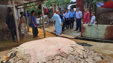 দেশ থেকে চামড়া পাচারের সুযোগ নেই: বাণিজ্য সচিব