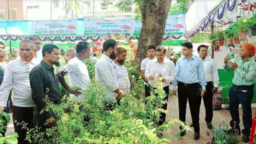 মেহেরপুরে বৃক্ষ মেলা শুরু