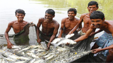 জাতীয় মৎস্য সপ্তাহ-’২৩ শুরু হচ্ছে আজ