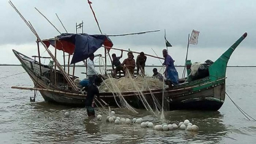 মধ্যরাতে ইলিশের অভয়াশ্রমে দুমাসের জন্য মাছ শিকার বন্ধ