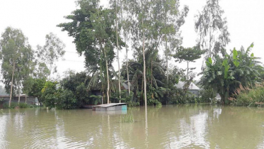 প্রতিদিনই বাড়ছে পানি, প্লাবিত হচ্ছে নিম্নাঞ্চল