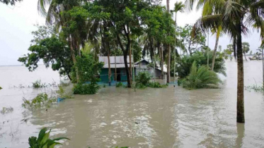 যমুনা-ব্রহ্মপুত্রে পানি বাড়ায় ফের নিম্নাঞ্চল প্লাবিত