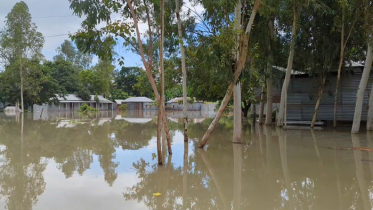 নদ-নদীর পানি বৃদ্ধি অব্যাহত, নতুন এলাকা প্লাবিত